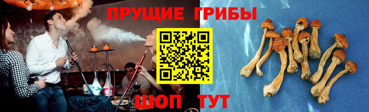 Галлюциногенные грибы ЛСД Саянск